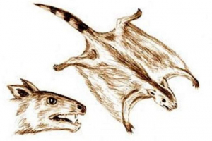 Volatikoterije - leteća zvijer Volatikoterije - leteća zvijer